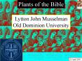 Plants of the Bible PowerPoint PPT Presentation