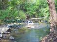 Perennial STreams Project Update PowerPoint PPT Presentation