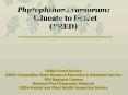 Phytophthora ramorum: Educate to Detect PRED USDAForest Service USDACooperative State Research Educa PowerPoint PPT Presentation