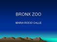 BRONX ZOO PowerPoint PPT Presentation