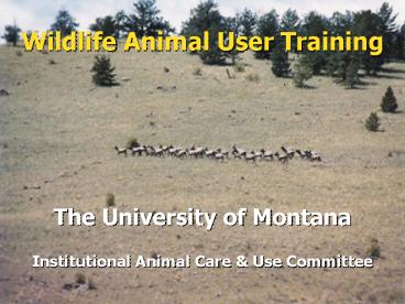 Wildlife Animal User Training