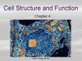 Cell Structure and Function PowerPoint PPT Presentation
