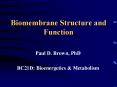 Biomembrane Structure and Function PowerPoint PPT Presentation