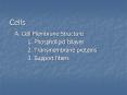 Cells PowerPoint PPT Presentation