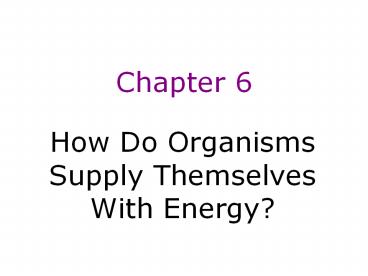 How Do Organisms Supply Themselves With Energy?