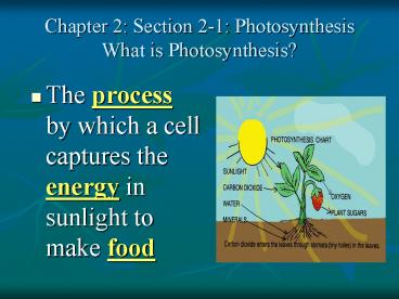 Chapter 2: Section 2-1: Photosynthesis What is Photosynthesis?
