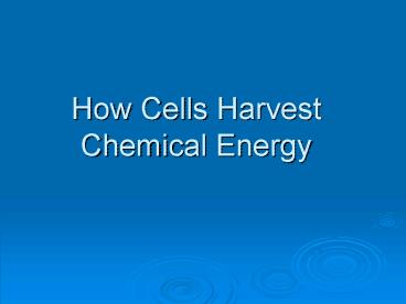 How Cells Harvest Chemical Energy