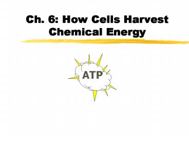 Ch' 6: How Cells Harvest Chemical Energy