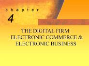 9' THE INTERNET: ELECTRONIC COMMERCE, ELECTRONIC BUSINESS