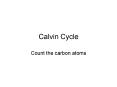 Calvin Cycle PowerPoint PPT Presentation