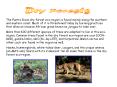 Dry Forests PowerPoint PPT Presentation