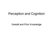 Perception and Cognition
