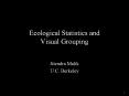 Ecological Statistics and Visual Grouping PowerPoint PPT Presentation