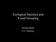 Ecological Statistics and Visual Grouping