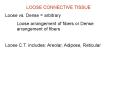 LOOSE CONNECTIVE TISSUE PowerPoint PPT Presentation