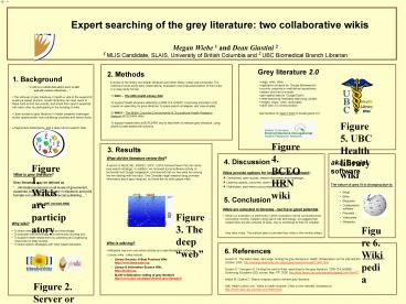 Expert searching of the grey literature: two collaborative wikis