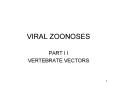 VIRAL ZOONOSES PowerPoint PPT Presentation