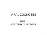 VIRAL ZOONOSES