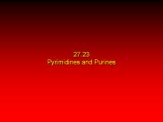 27.23 Pyrimidines and Purines