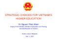 STRATEGIC CHOICES FOR VIETNAM PowerPoint PPT Presentation