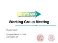 Working Group Meeting PowerPoint PPT Presentation