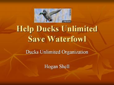 Help Ducks Unlimited Save Waterfowl