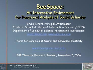 BeeSpace: An Interactive Environment for Functional Analysis of Social Behavior