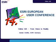 Online GIS - From Vision to Reality