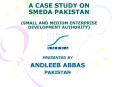 A CASE STUDY ON SMEDA PAKISTAN (SMALL AND MEDIUM ENTERPRISE DEVELOPMENT AUTHORITY) PowerPoint PPT Presentation