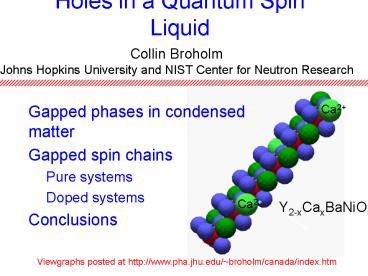 Holes in a Quantum Spin Liquid