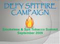 DEFY Spitfire Campaign PowerPoint PPT Presentation