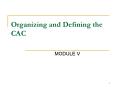 Organizing and Defining the CAC PowerPoint PPT Presentation