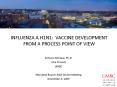 Influenza A H1N1: Vaccine Development From a Process Point of View PowerPoint PPT Presentation