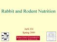 Rabbit and Rodent Nutrition PowerPoint PPT Presentation