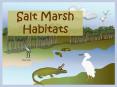Salt Marsh Habitats PowerPoint PPT Presentation