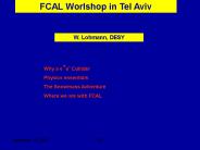 FCAL Worlshop in Tel Aviv
