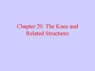 Chapter 20: The Knee and Related Structures