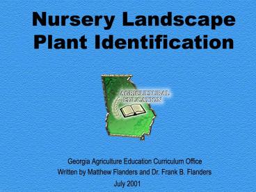 presentation player overlay