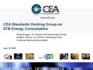 CEA Standards Working Group on