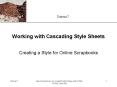 Working with Cascading Style Sheets PowerPoint PPT Presentation