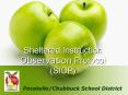 Sheltered Instruction Observation Protocol (SIOP) PowerPoint PPT Presentation
