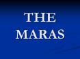 THE MARAS PowerPoint PPT Presentation