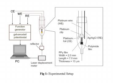 Fig 1: Experimental Setup