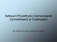 Safbwynt Rhyddfrydol Democrataidd Gymdeithasol ar Ddatblygiad PowerPoint PPT Presentation