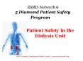 ESRD Network 6 5 Diamond Patient Safety Program PowerPoint PPT Presentation