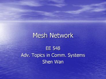 Mesh Network