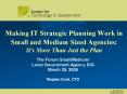 Making IT Strategic Planning Work in Small and Medium Sized Agencies: It's More Than Just the Plan PowerPoint PPT Presentation