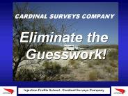 CARDINAL%20SURVEYS%20COMPANY