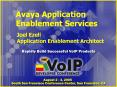 Avaya Application Enablement Services PowerPoint PPT Presentation