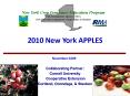 2010 New York APPLES PowerPoint PPT Presentation